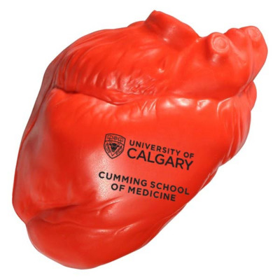 Anatomical Heart Stress Reliever Csom