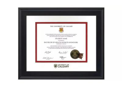 Degree Frame - Rideau Frame