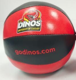 Dinos Basketball