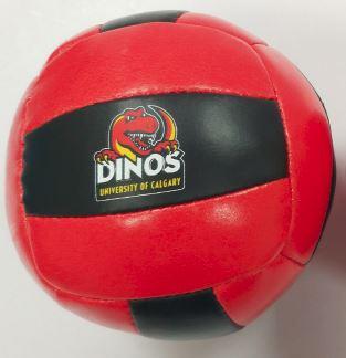 Dinos Volleyball