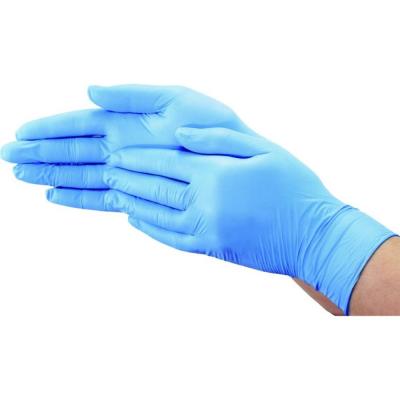 Globe Nitrile Powder Free Gloves 100 Pack