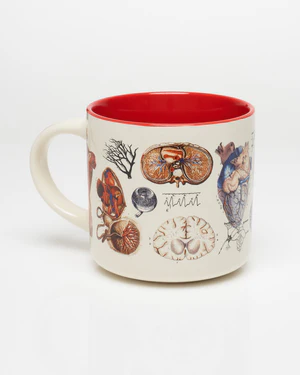 Ceramic Mug 15 Oz Vascular Anatomy