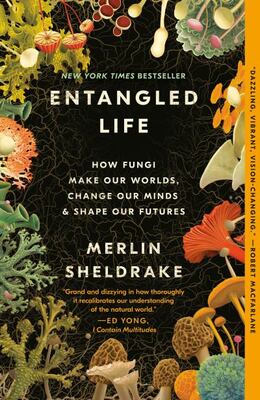 Entangled Life: How Fungi Make Our Worlds, Change Our Minds