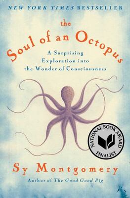 The Soul Of An Octopus: A Surprising Exploration Into The Wo