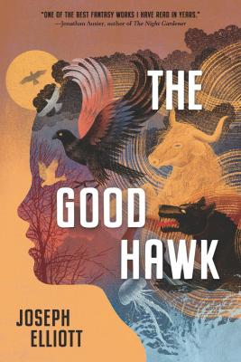 Good Hawk (Shadow Skye, Book One)