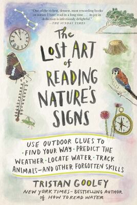 The Lost Art Of Reading Nature's Signs: Use Outdoor Clues To