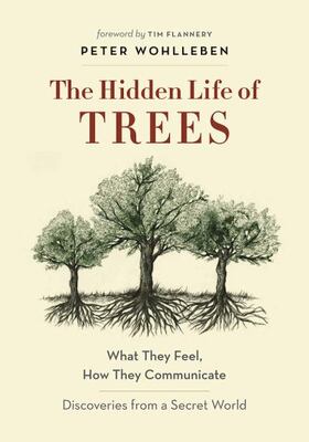The Hidden Life Of Trees: What They Feel, How They Communica