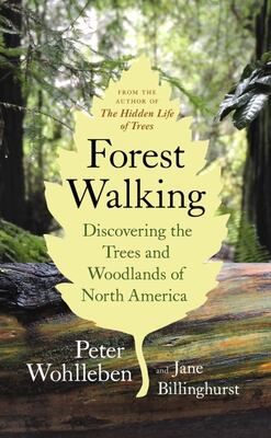 Forest Walking: Discovering The Trees And Woodlands Of North